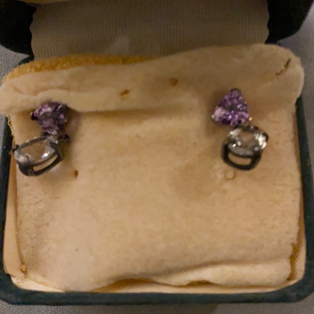Earrings 15$